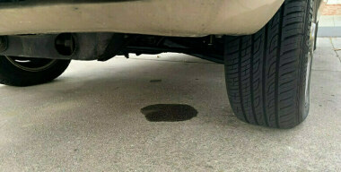 Фото: johnnyholland.org