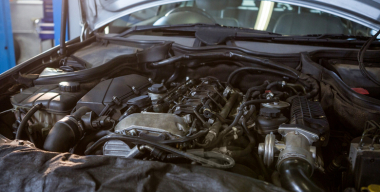 Фото: freepik.com