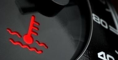 Фото gobdp.com
