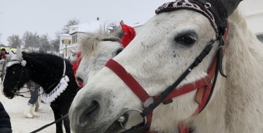 Фото портала АвтоВзгляд.