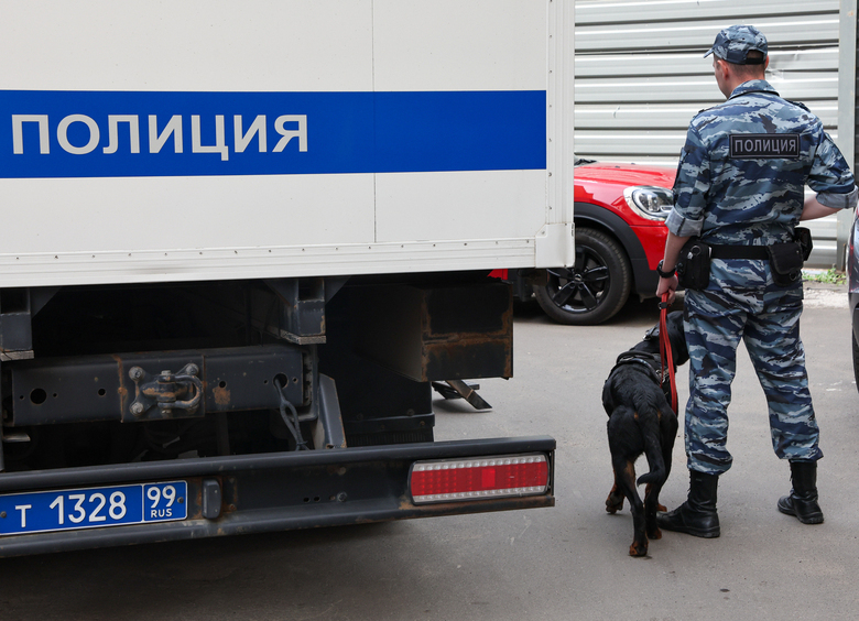Изображение Виновника смертельного ДТП под Тюменью нашли в лесу с помощью служебной собаки