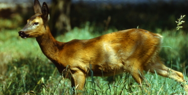 Фото: globallookpress.com