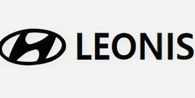 В России запатентовали Hyundai Leonis
