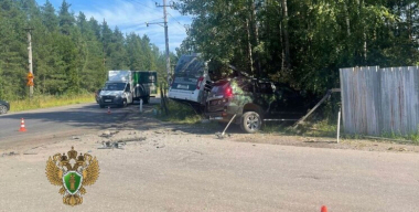 Фото: Пресс-служба Прокуратуры Ленобласти