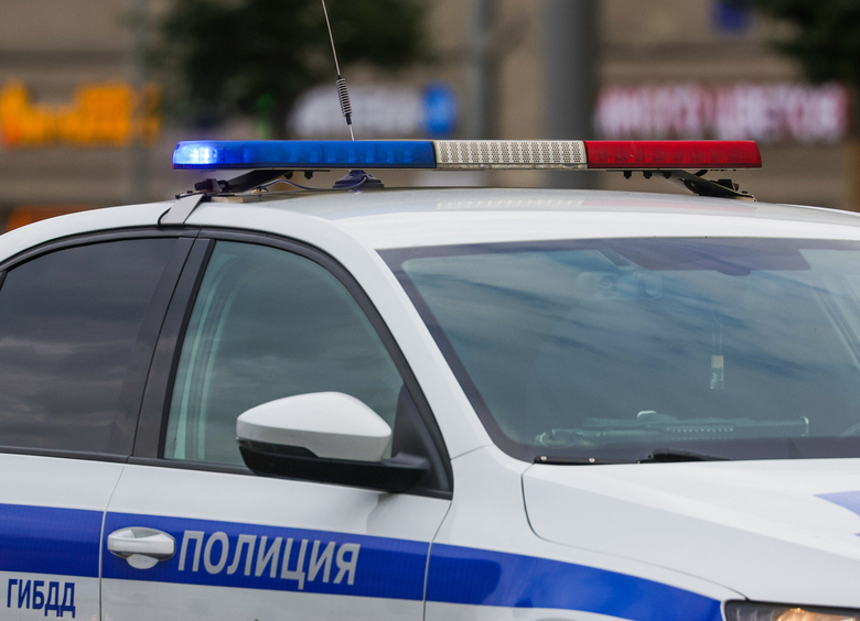 Изображение Водитель насмерть сбил женщину и скрылся, но потом одумался и вернулся