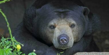 Фото: globallookpress.com