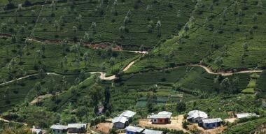 Фото: globallookpress.com