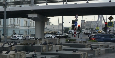 Фото globallookpress.com