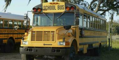 Фото: globallookpress.com