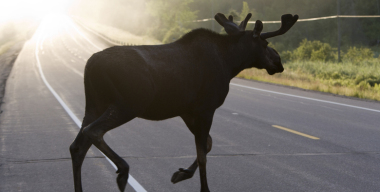 Фото: globallookpress.com