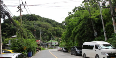 Фото: Maksim Konstantinov/globallookpress.com