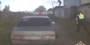 Меткий бросок полена помог ДПС поймать пьяного гонщика без «прав» под Вологдой