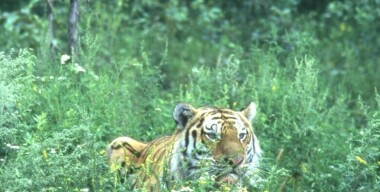 Фото: Andrei Kamenev/globallookpress.com