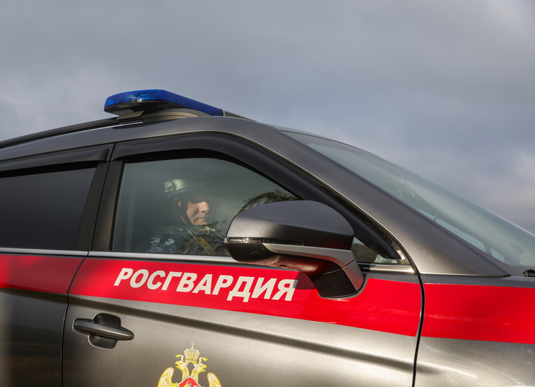 Изображение Голые супруги устроили драку прямо на проезжей части в Подмосковье