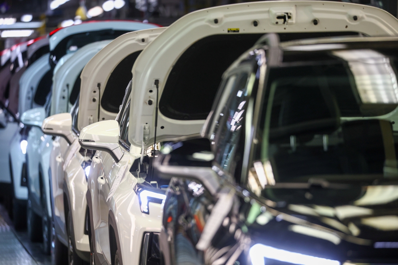 Фото: Shatokhina Natalia/globallookpress.com