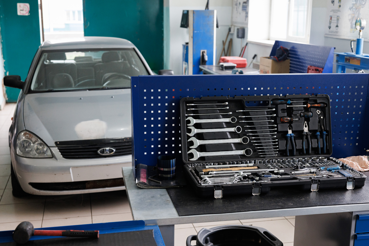 Фото: Sergey Elagin/globallookpress.com