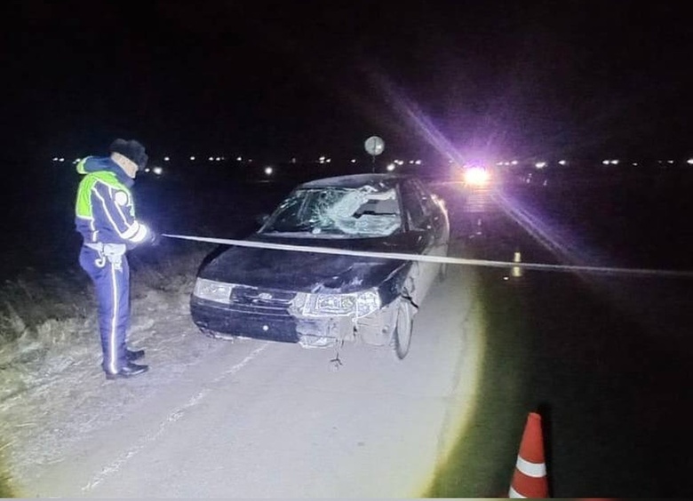 Изображение Отчим, сбивший на машине пасынка, был найден мертвым под Свердловском