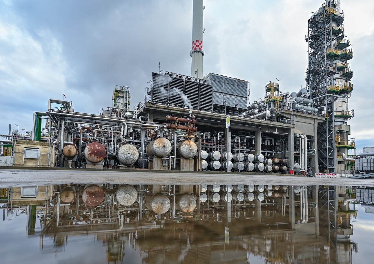 Фото: Patrick Pleul/globallookpress.com