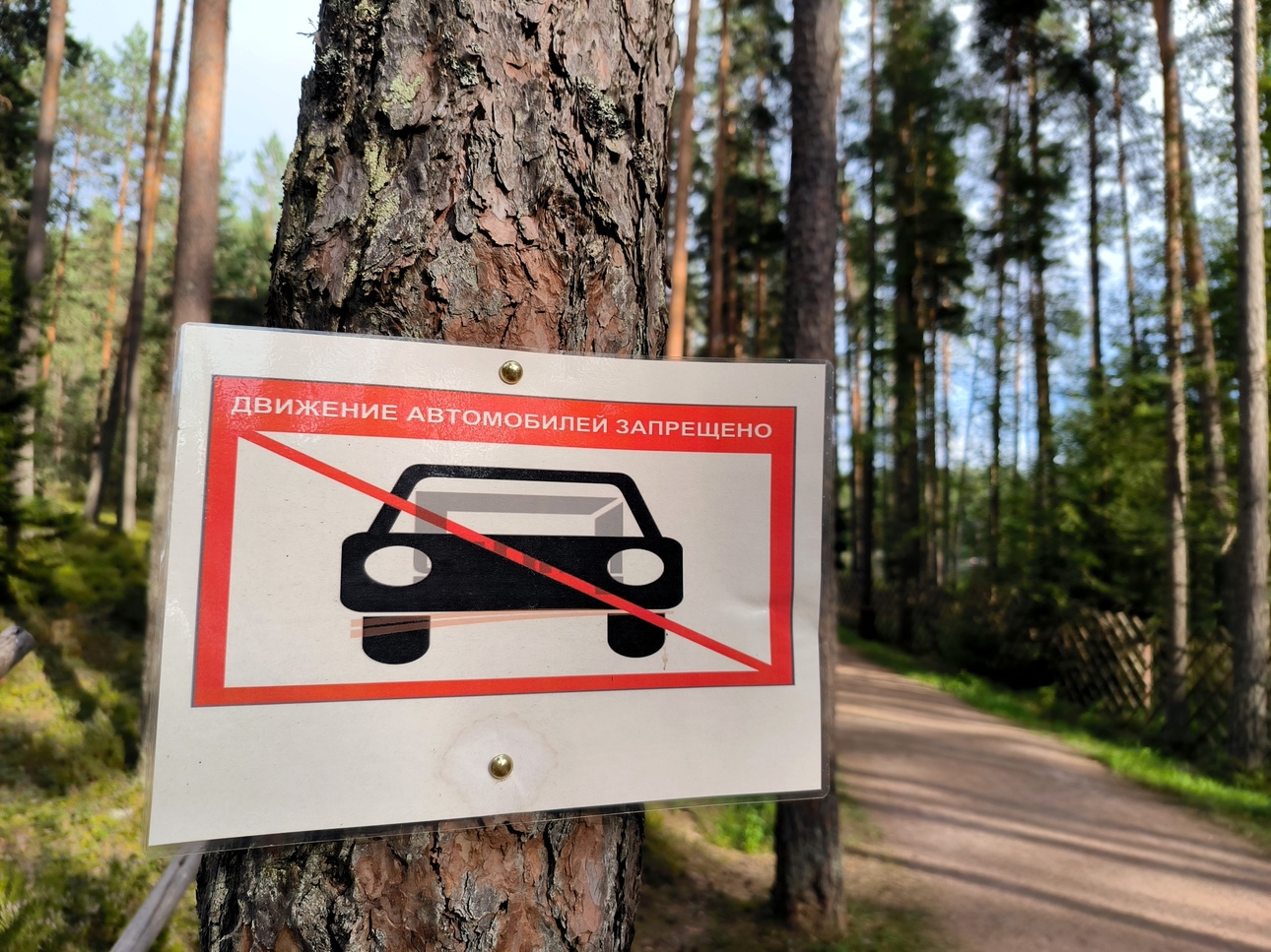 Фото: Maksim Konstantinov / globallookpress.com