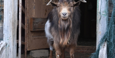 Фото: globallookpress.com