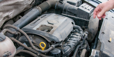 Фото: Svetlana Vozmilova/globallookpress.com