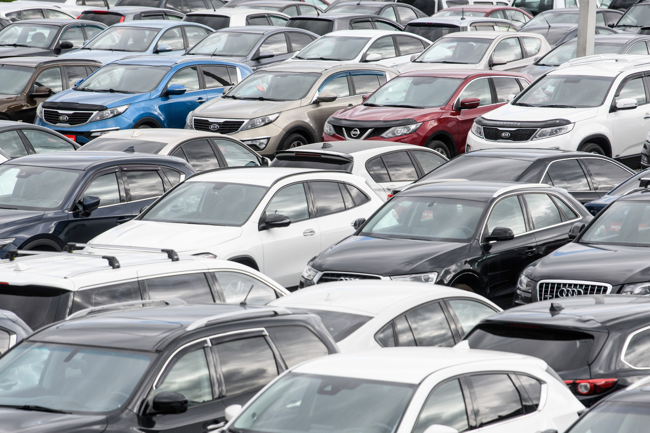 Фото Ilya Moskovets/globallookpress.com