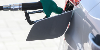 Фото Ilya Moskovets/globallookpress.com