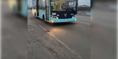 Фото: официальный телеграм-канал Управления Государственной инспекции безопасности дорожного движения по г.Санкт-Петербургу и Ленинградской области