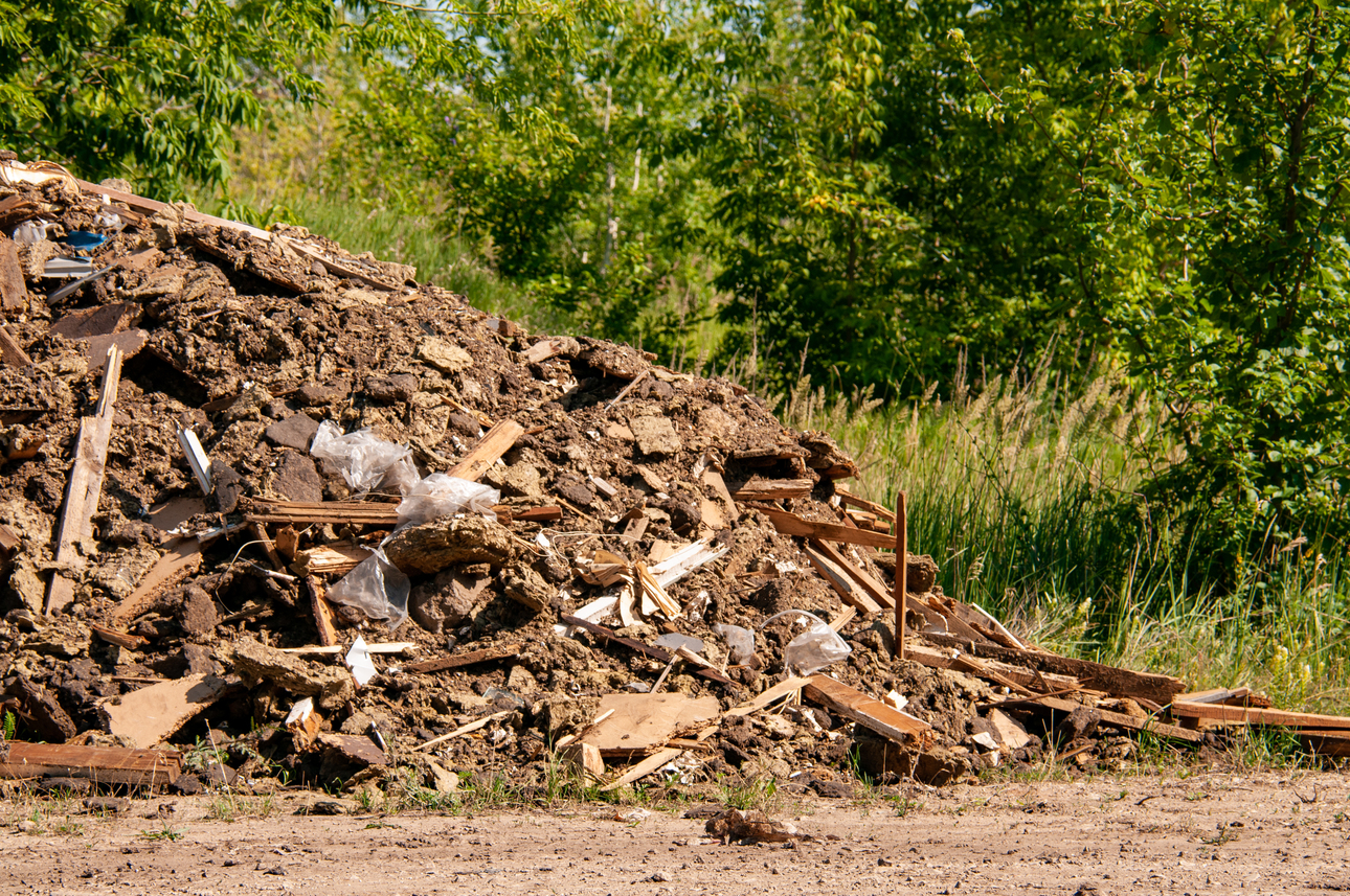 Фото Svetlana Vozmilova/globallookpress.com
