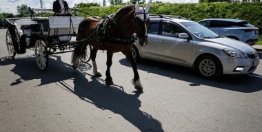 Фото Roman Naumov/globallookpress.com