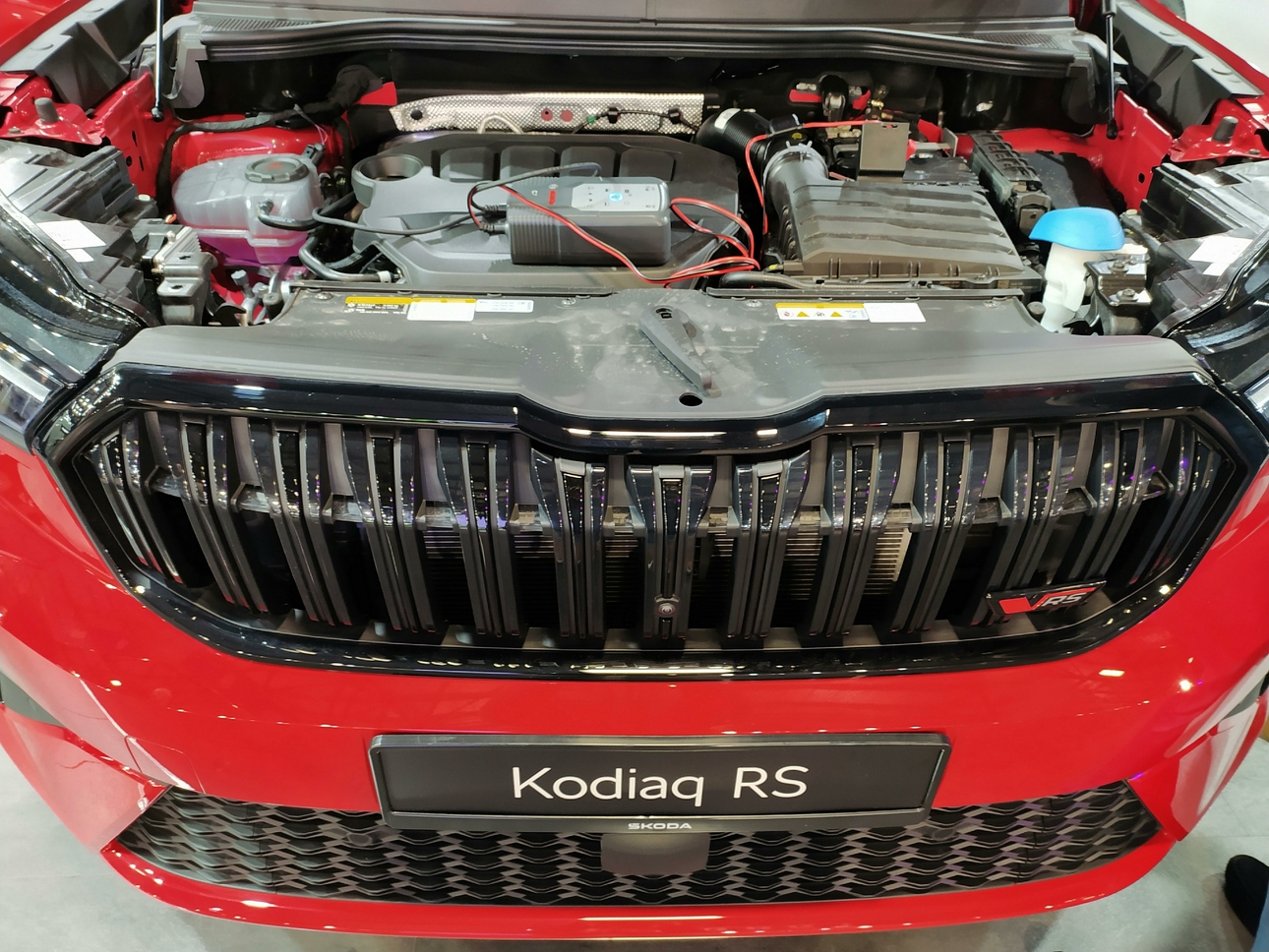 Фото Victor Lisitsyn/Victor Lisitsyn