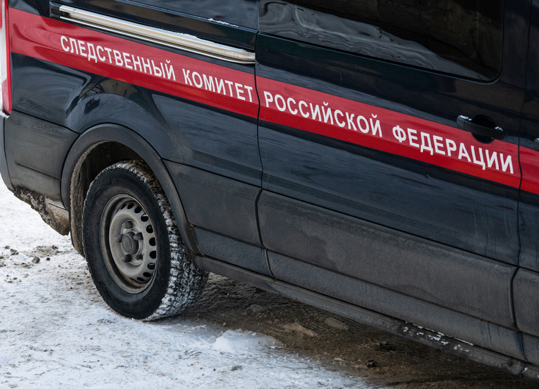 Изображение Водитель в маске пытался увезти чужих детей из школы в Воронеже