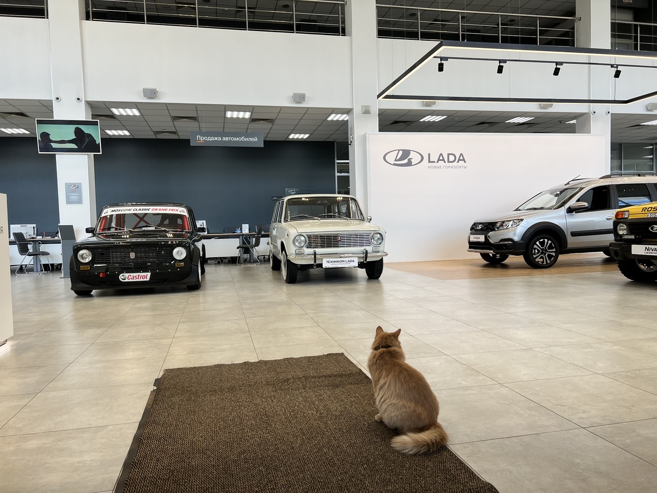 Фото vtovzglyad.ru/