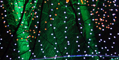 Гирлянды беды: почему не стоит украшать свою машину новогодней иллюминацией