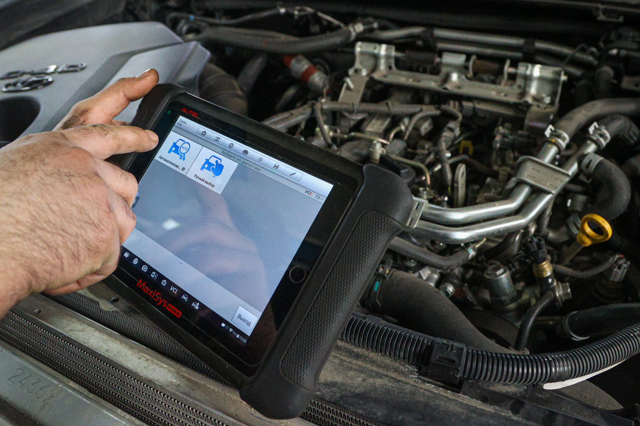 Фото: Bulkin Sergey/globallookpress.com