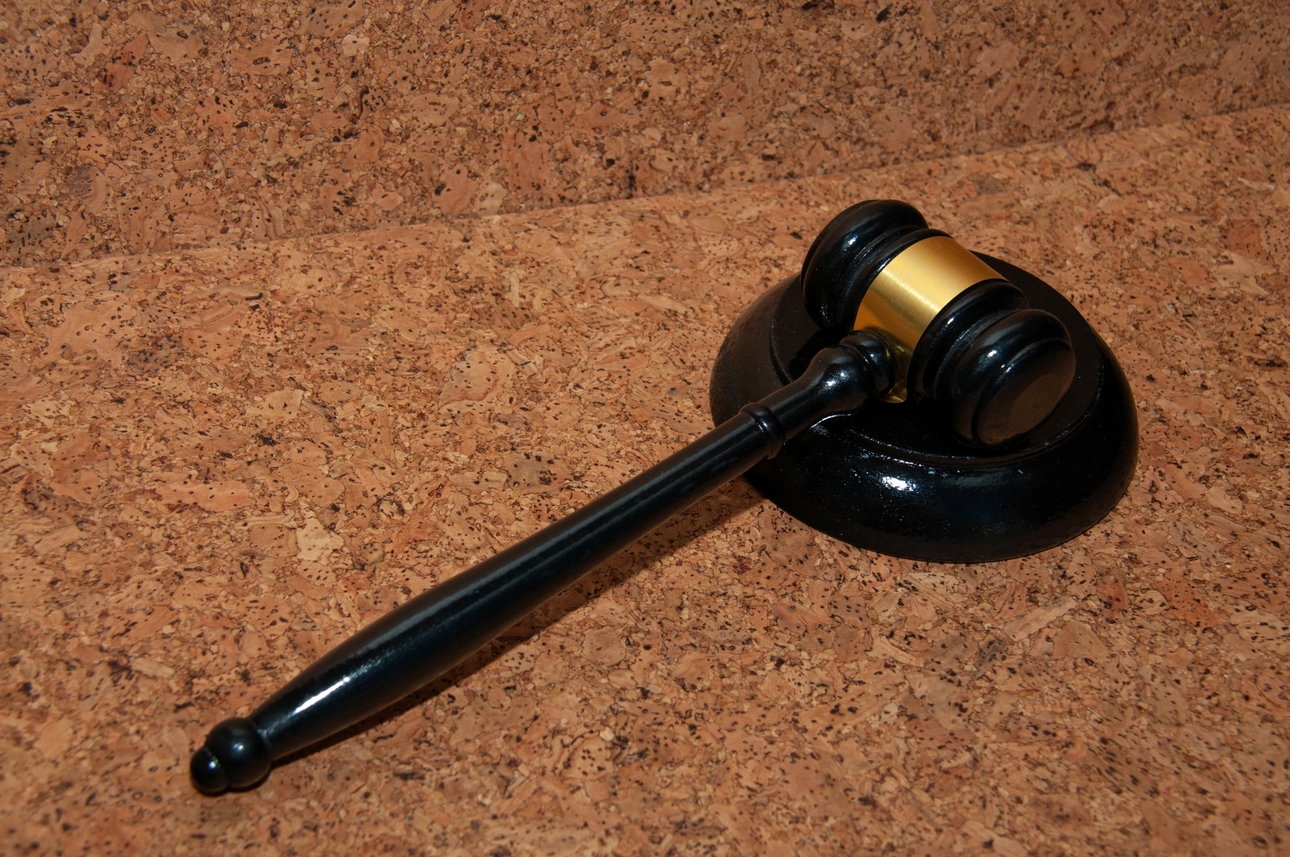 Фото: Svetlana Vozmilova/globallookpress.com