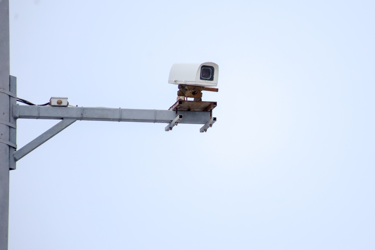 Фото: Elena Mayorova/globallookpress.com