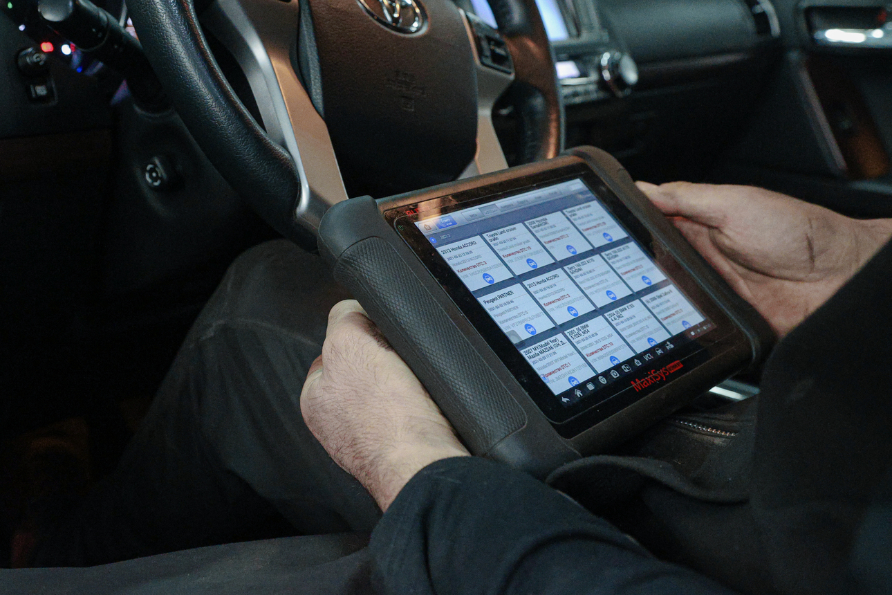 Фото: Bulkin Sergey/globallookpress.com